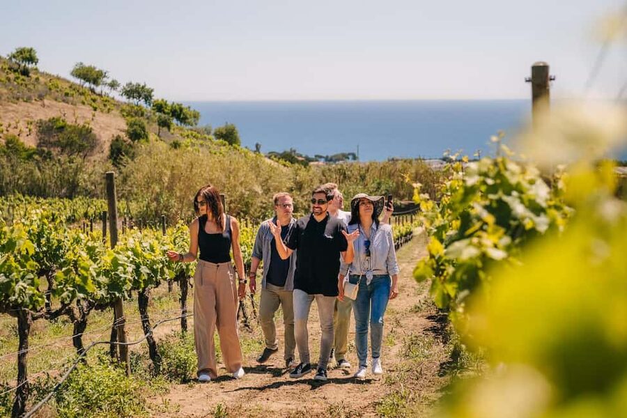 Barcelona: Sailing Cruise & Vineyard Tour with Wine Tasting - The short transfer from Alella harbor