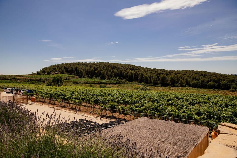Barcelona: Vineyard Horseback Riding & Wine Tasting + Tapas - FAQ