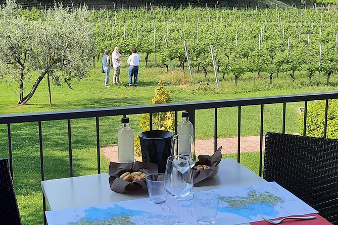 Bardolino: vineyard tour, wine, oil and food tasting - Key points at a glance