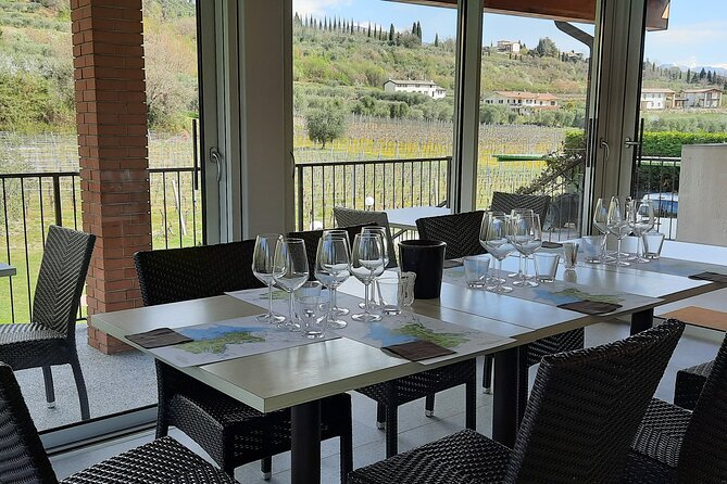 Bardolino: vineyard tour, wine, oil and food tasting - The family story behind the bottles