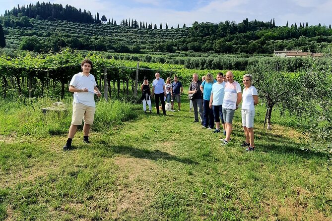 Bardolino: vineyard tour, wine, oil and food tasting - What the guide adds to the visit
