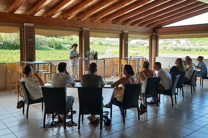 Bardolino: vineyard tour, wine, oil and food tasting - Walking through Bardolino country