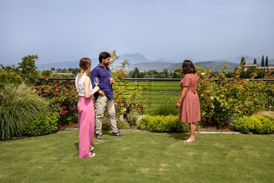 Bardolino: Vineyard Tour with Wine and Food Tasting - Key points to know before booking