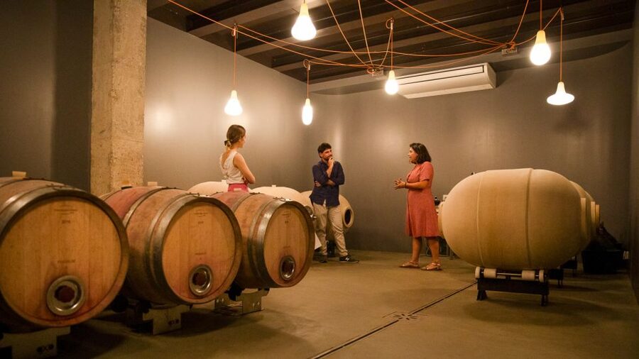Bardolino: Vineyard Tour with Wine and Food Tasting - FAQ
