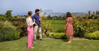 Bardolino: Vineyard Tour with Wine and Food Tasting