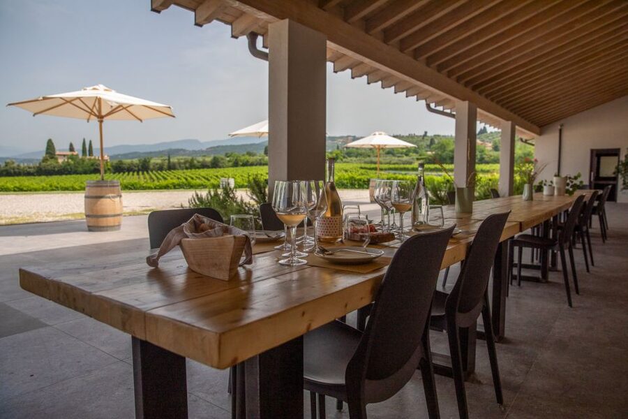 Bardolino: Vineyard Tour with Wine and Food Tasting - Julia, Aldo, and the human side of the visit