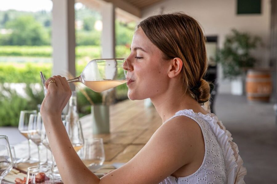 Bardolino: Vineyard Tour with Wine and Food Tasting - Is $53 a fair price?