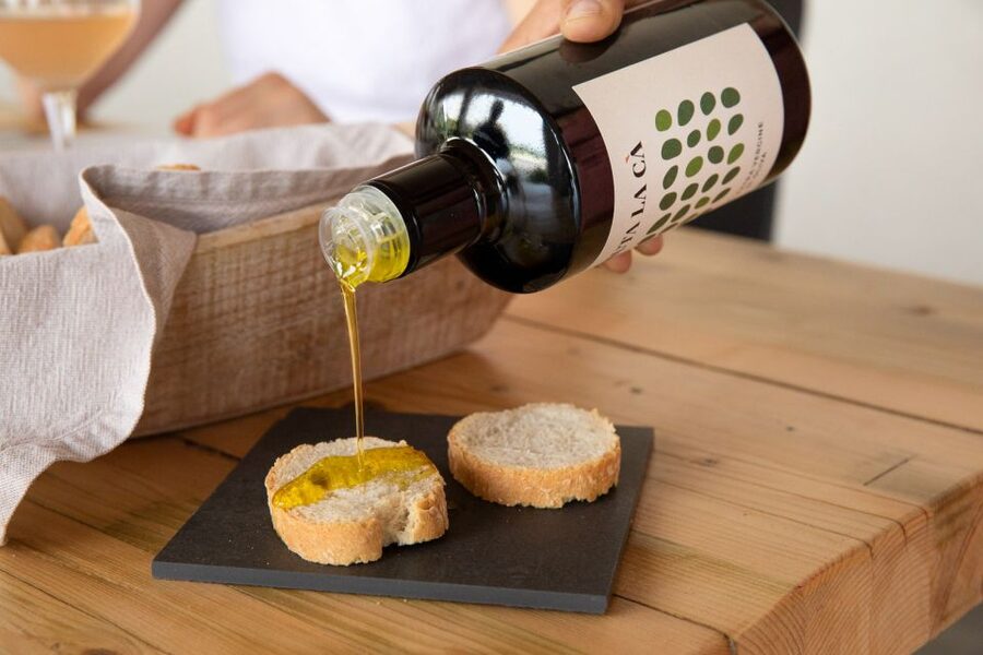 Bardolino: Vineyard Tour with Wine and Food Tasting - Booking details that affect your day