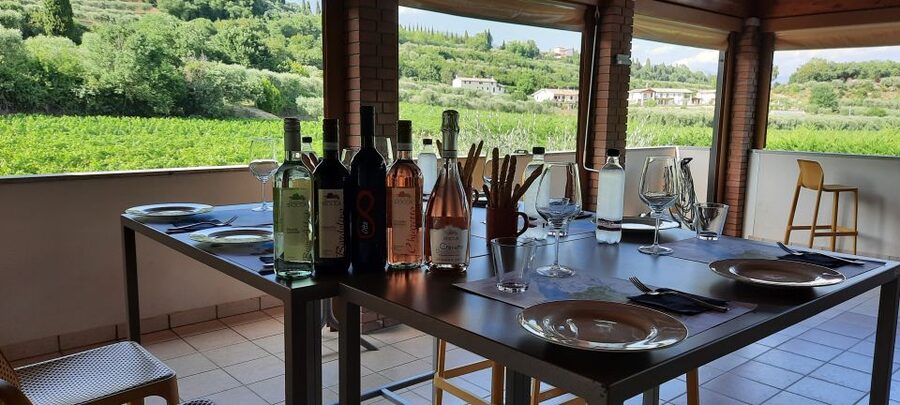 Bardolino: Vineyard Tour with Wine, Olive Oil & Food Tasting - Key points to know before booking