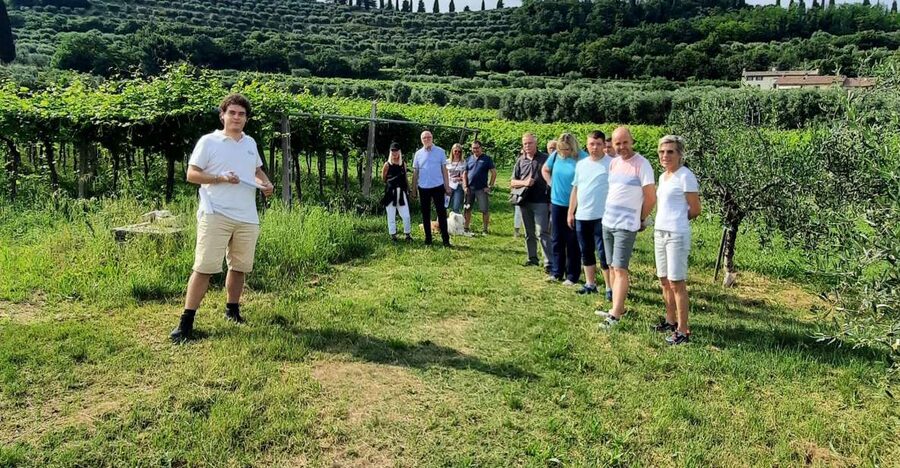 Bardolino: Vineyard Tour with Wine, Olive Oil & Food Tasting - Arriving at Agriturismo La Rocca