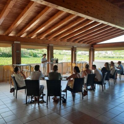 Bardolino: Vineyard Tour with Wine, Olive Oil & Food Tasting