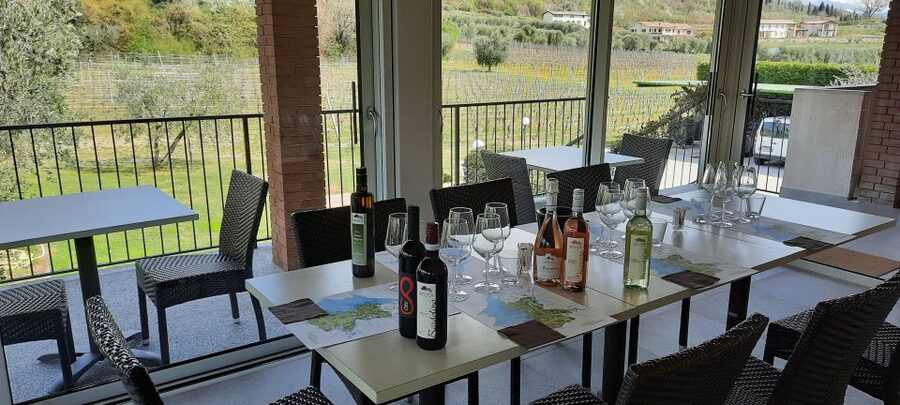 Bardolino: Vineyard Tour with Wine, Olive Oil & Food Tasting - Five wines on the terrace