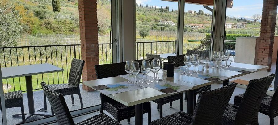 Bardolino: Vineyard Tour with Wine, Olive Oil & Food Tasting - Who will enjoy this vineyard visit?