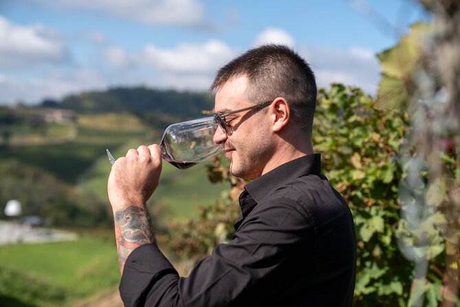 Barolo Tasting and Vineyard Tour and Winery Visit - Why this Barolo visit works well