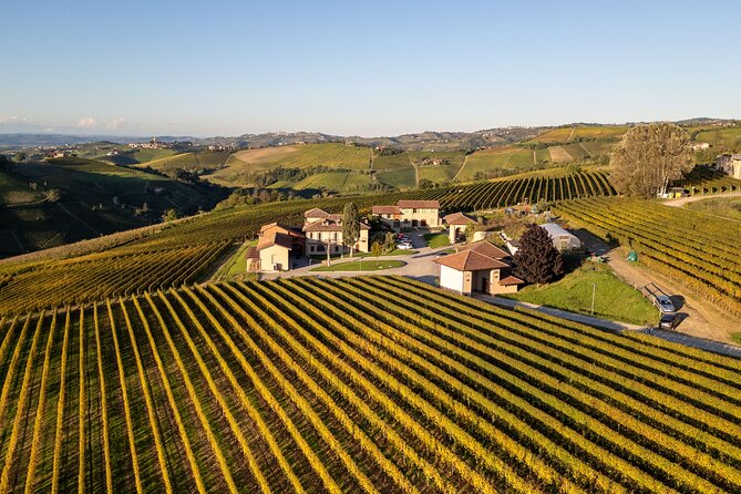 Barolo Tasting and Vineyard Tour and Winery Visit - Who will enjoy this experience most?