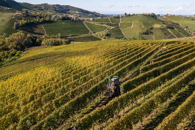 Barolo Tasting and Vineyard Tour and Winery Visit - Practical details that affect your visit