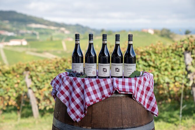 Barolo Tasting and Vineyard Tour and Winery Visit - My verdict on Podere Gagliassi