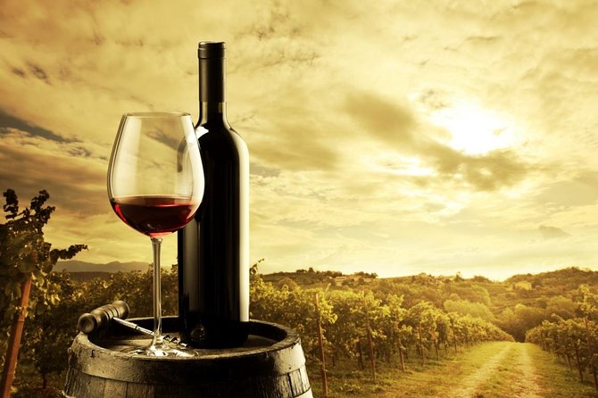 Barossa Valley Hop-On Hop-Off Wine Tour - Saltram, Lamberts, and the food side of the day