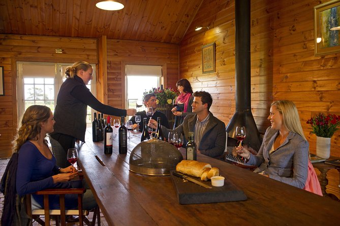 Barossa Valley Hop-On Hop-Off Wine Tour - Why the guides matter so much