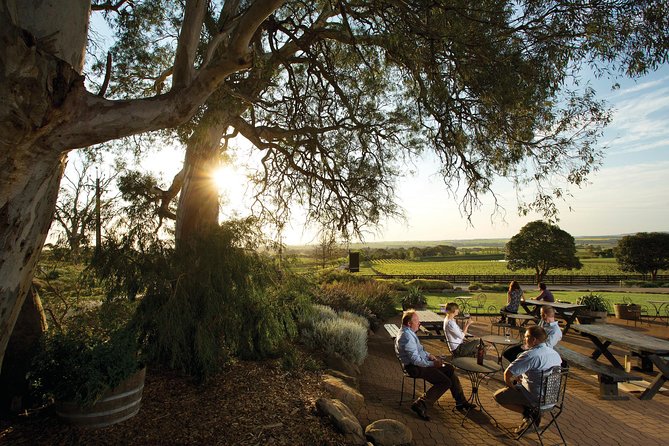 Barossa Valley Hop-On Hop-Off Wine Tour - The $71.72 price and what you really pay