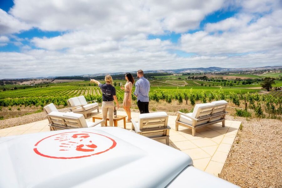 Barossa Valley: Two Hands 1.5-Hour Vineyard Tour - Who will enjoy this Barossa visit most