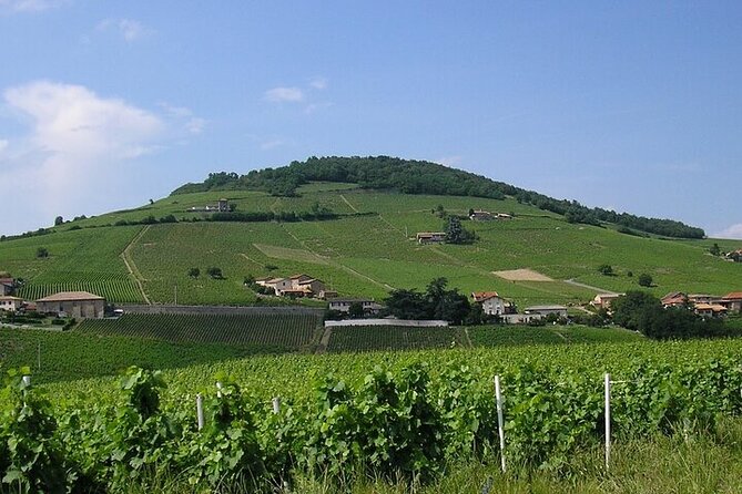Beaujolais wine route, private tour from Lyon - Château de Pizay Makes Wine Tasting More Playful