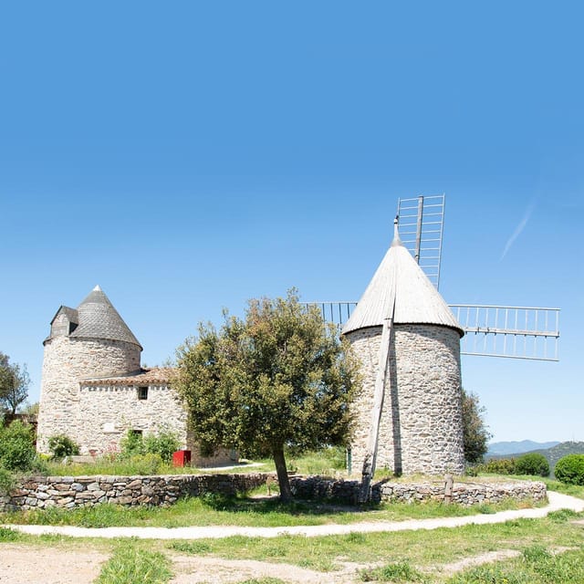 Béziers : Explore the Faugères Vineyards with a Picnic - Practical Tips for a Better Day