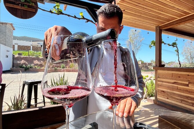 "Bike 2 wine", Exploring vineyards on a bike - Why this Ensenada bike tour feels different