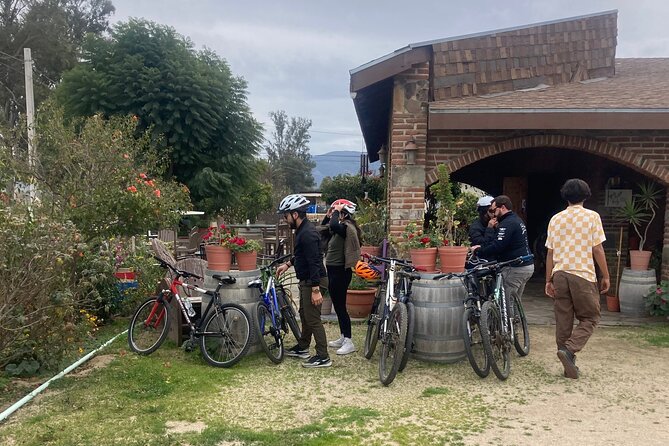 "Bike 2 wine", Exploring vineyards on a bike - Adobe Guadalupe: archangels and an Aztec breeding farm