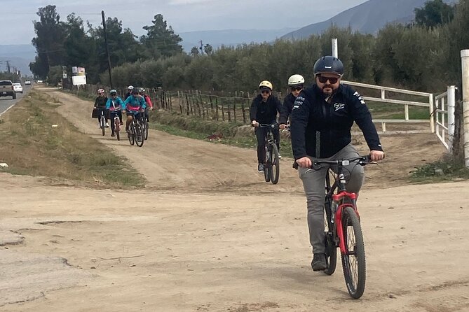 "Bike 2 wine", Exploring vineyards on a bike - What is included for $110