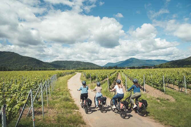 Bike ride on the Wine Route from Sélestat - Key points at a glance