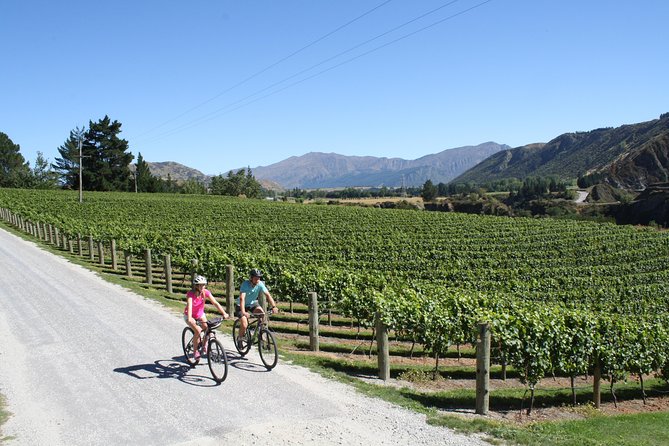 Bike The Wineries (3/4 Day) - Ride Through Queenstown Vineyards - Mt Rosa Wines and the smaller-stop appeal