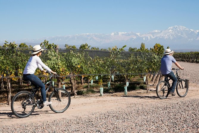 Bike Tour in Mendoza Wine Country - What the ride is really like