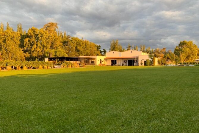 Bike Tour in Mendoza Wine Country - Second stop: Bodega Vistalba