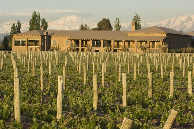 Bike Tour in Mendoza Wine Country - Lunch at Nieto Senetiner