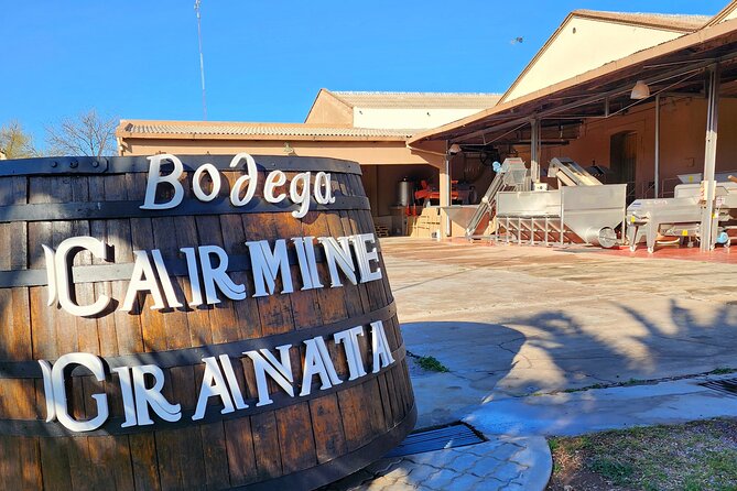 Bike Tour in Mendoza Wine Country - Is $360 good value?