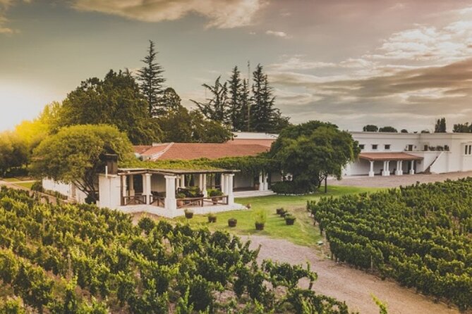 Bike Tour in Mendoza Wine Country - Who should choose this Mendoza bike tour?