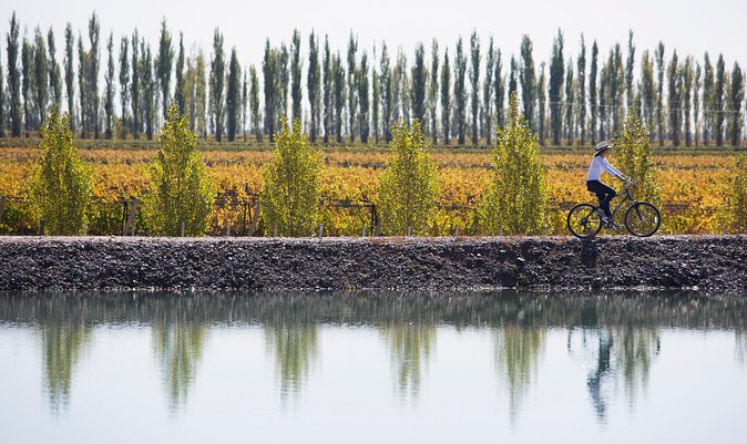 Bike Tour in Mendoza Wine Country - First stop: Carmine Granata Winery