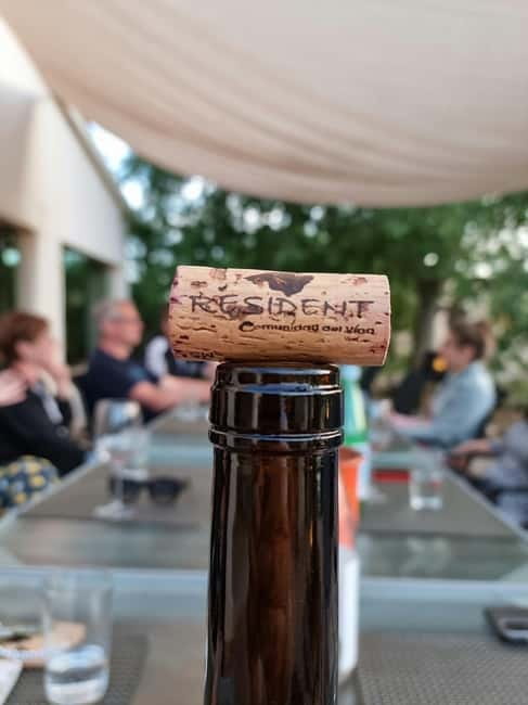 Binissalem: Individual vineyard tour and wine tasting in German - Key points at a glance