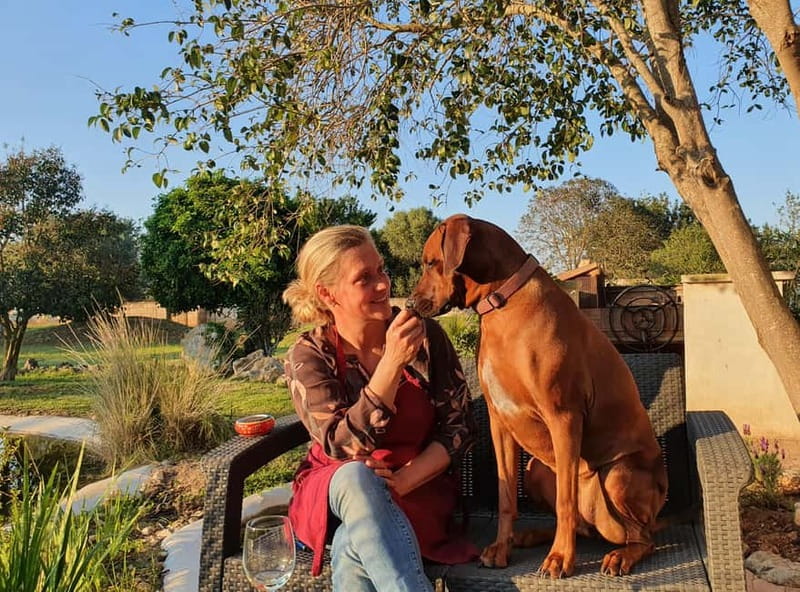 Binissalem: Individual vineyard tour and wine tasting in German - What the two hours feel like