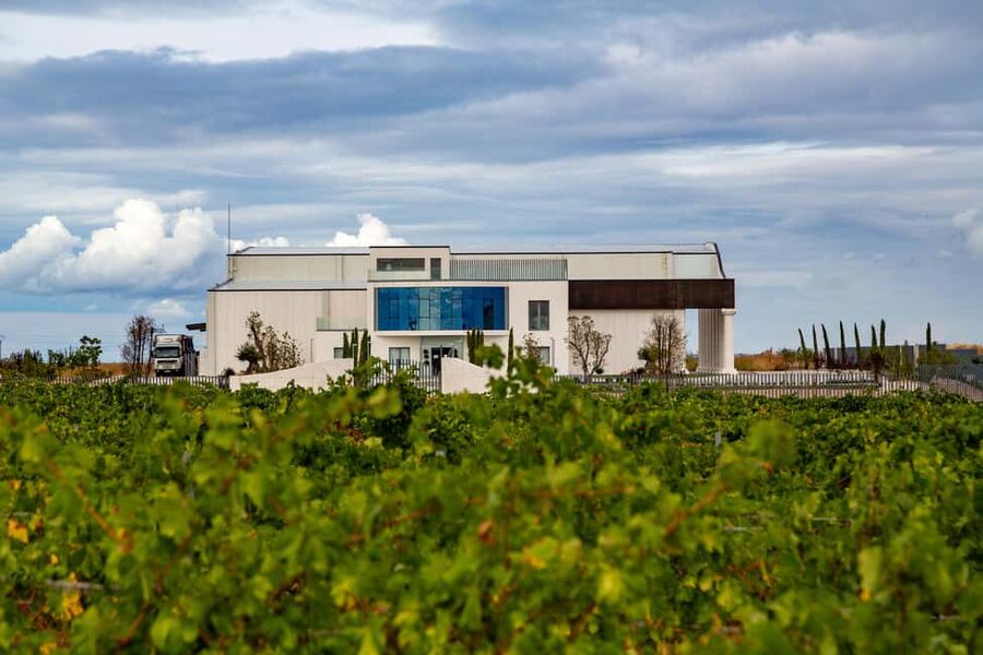 BODEGAS PANDORA: tour through vineyards and winery with wine tasting. - Key Points About the Pandora Visit