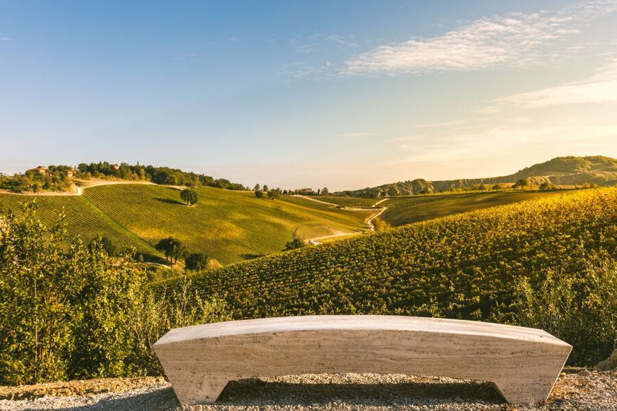 Bologna: Olive Grove and Vineyard Tour with Product Tastings - Key points to know before booking