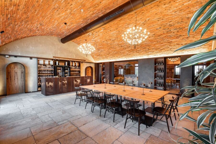 Bologna: Olive Grove and Vineyard Tour with Product Tastings - The guided walk through wine and olive oil