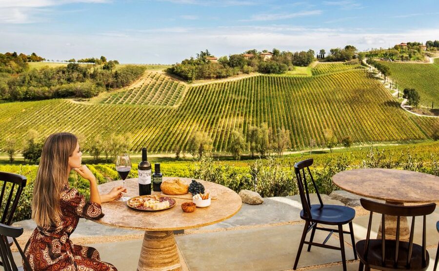 Bologna: Olive Grove and Vineyard Tour with Product Tastings - Tasting Bologna wines with local food