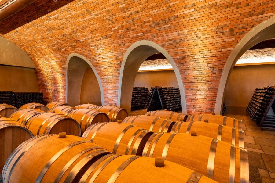 Bologna: Olive Grove and Vineyard Tour with Product Tastings - The setting, guides, and overall mood