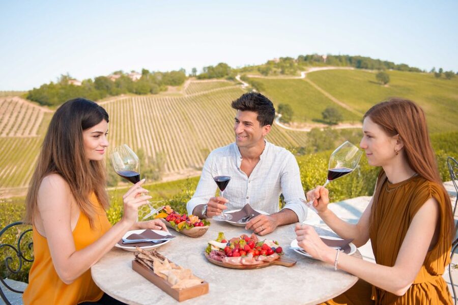 Bologna: Olive Grove and Vineyard Tour with Product Tastings - Arriving at the cellar near Bologna