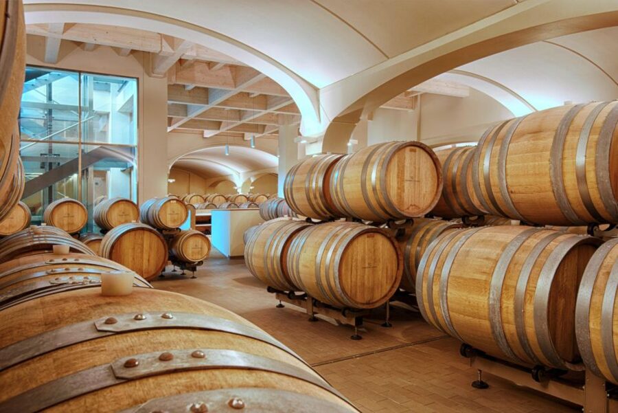 Bologna Vineyard Vista: a journey through Emilian wines - Key reasons to consider this wine experience