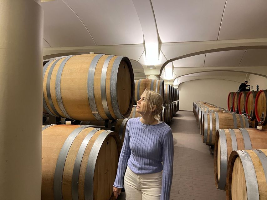 Bologna Vineyard Vista: a journey through Emilian wines - A short escape into Emilia-Romagna wine country