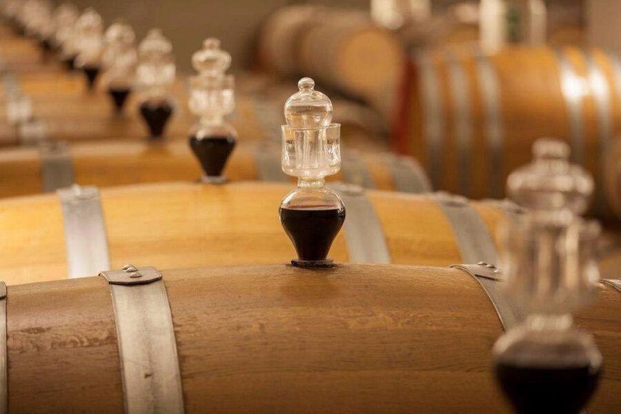 Bologna Vineyard Vista: a journey through Emilian wines - The welcome and guiding style