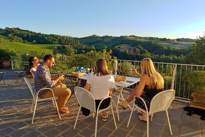 Bologna Wine Tasting & Winery Tour in the Colli Bolognesi - Who will enjoy this Bologna wine tour?